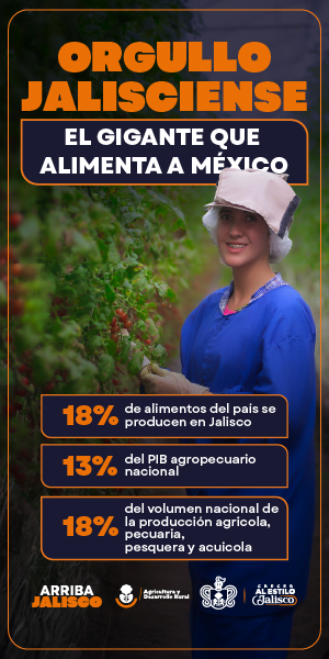 Gobierno de Jalisco