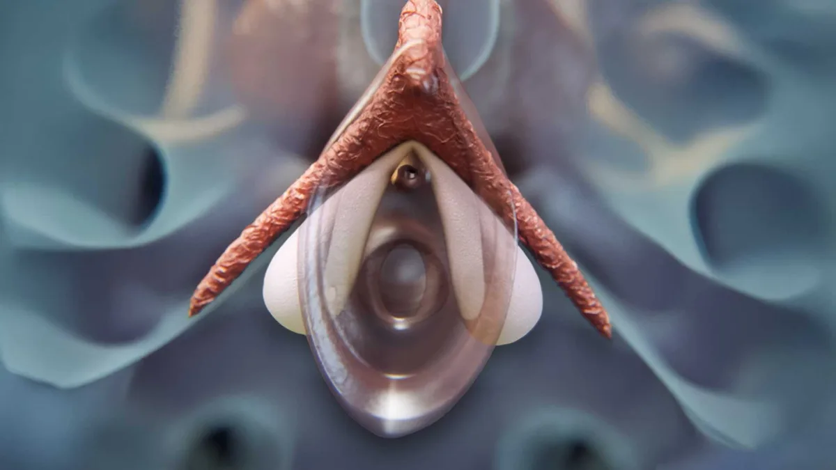 Así es el orgasmo femenino paso a paso