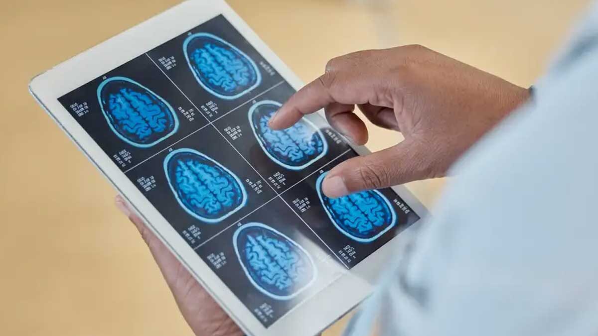 Detectan el "Punto Caliente" del Cerebro que Controla el Envejecimiento
