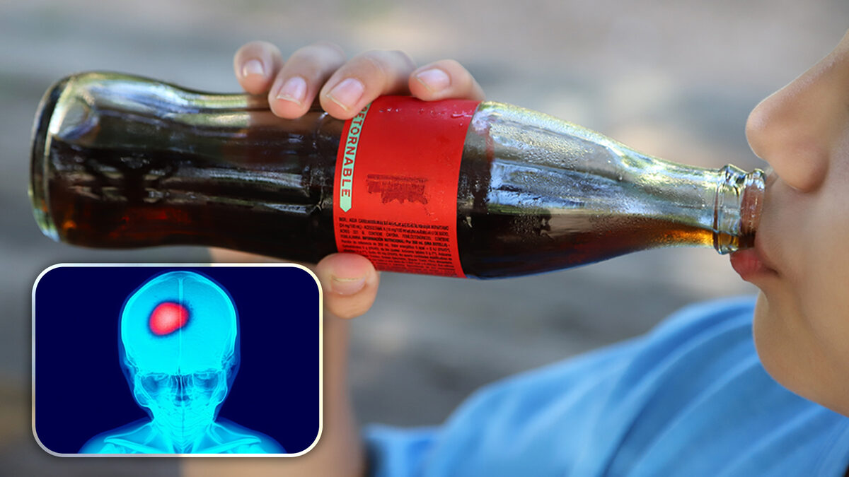 Este le hace el refresco al cerebro de tu hijo
