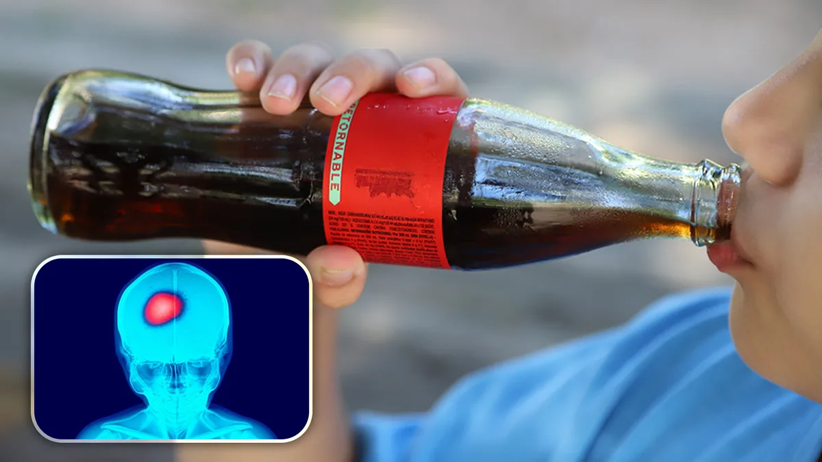 Este le hace el refresco al cerebro de tu hijo