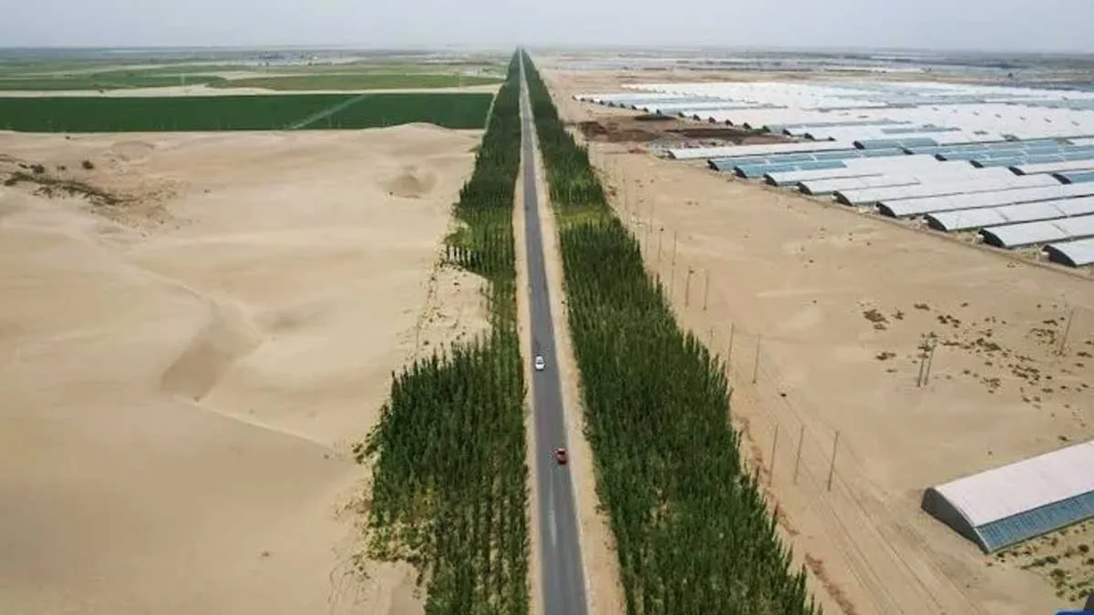 Innovación en el desierto: el cinturón verde de China en Taklamakán