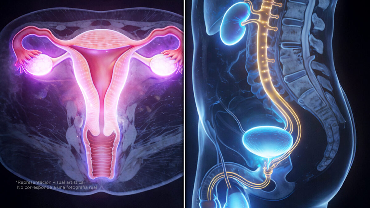 La diferencia entre el periodo de la mujer y el periodo del hombre