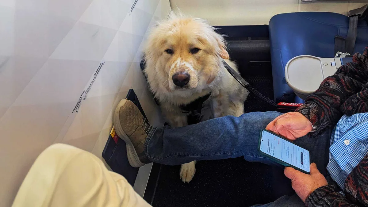Piloto aterriza de emergencia para salvarle la vida a un perrito