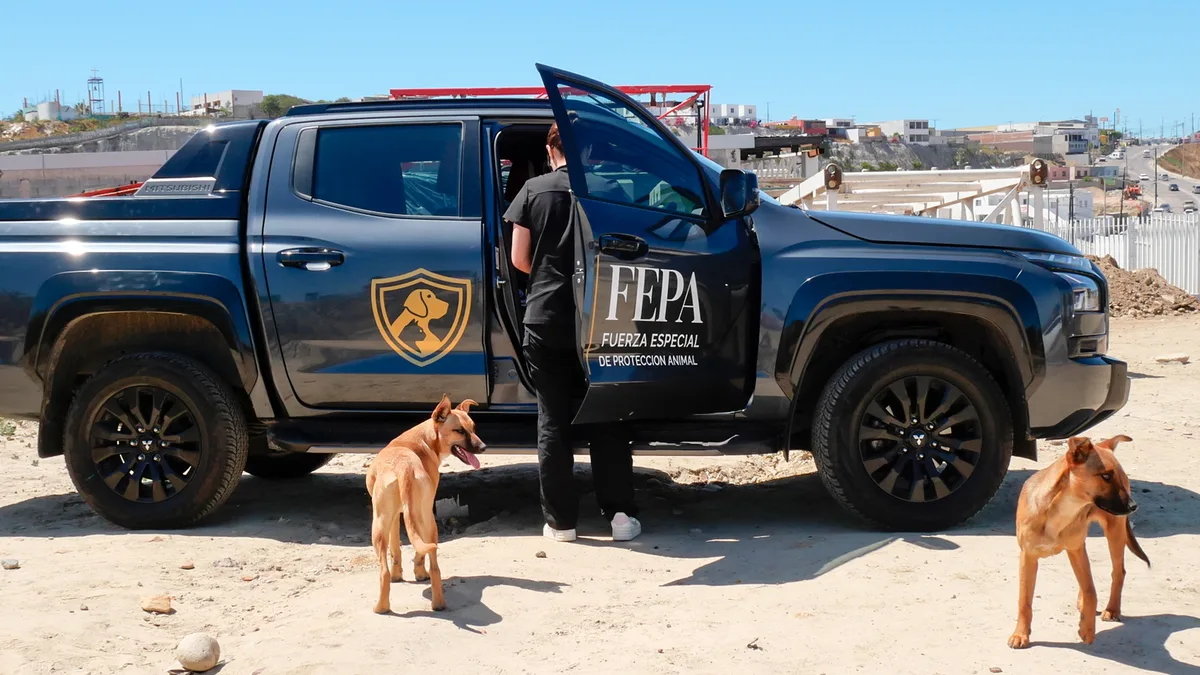 Qué es FEPA y cómo ayuda a los perritos de la calle en Tijuana