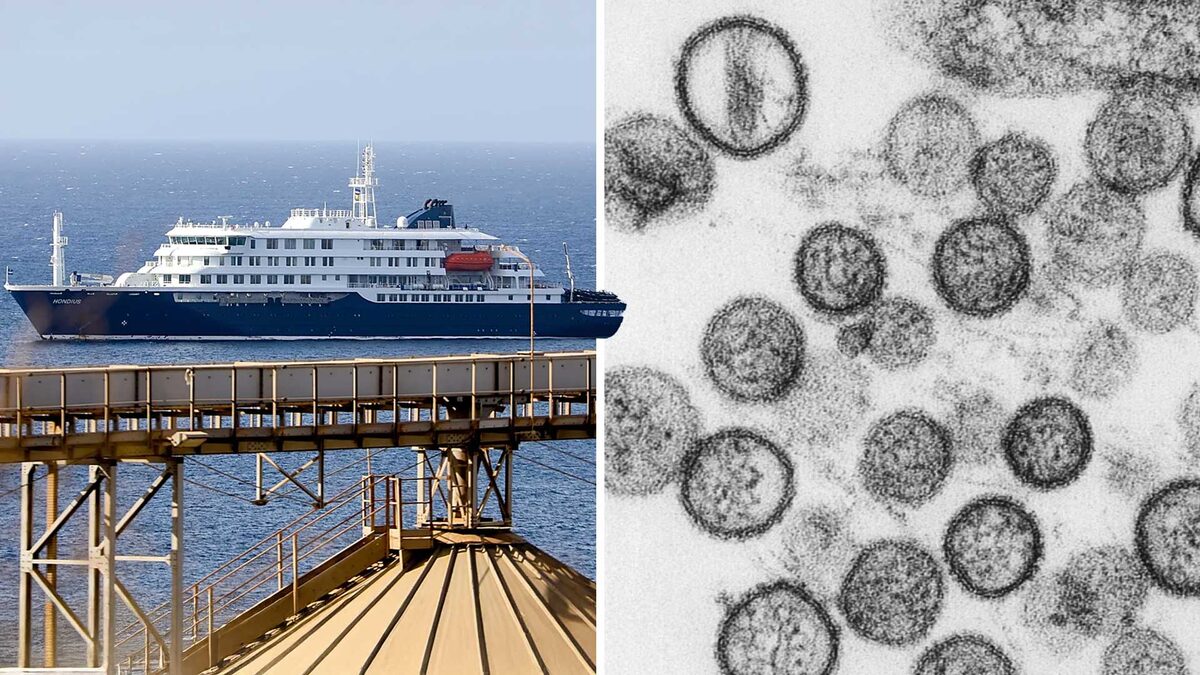 ¿Qué es y cómo se contagia el hantavirus?