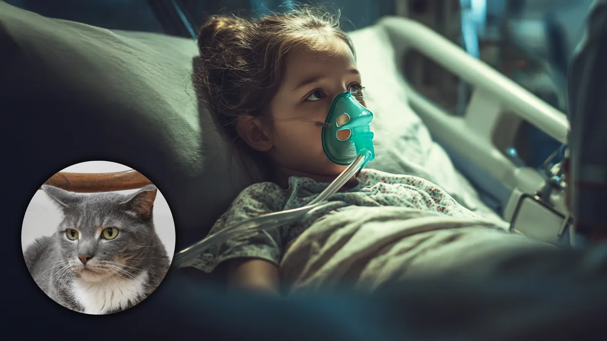 Todos los hijos terminaron en el hospital... era su gato quien los enfermaba