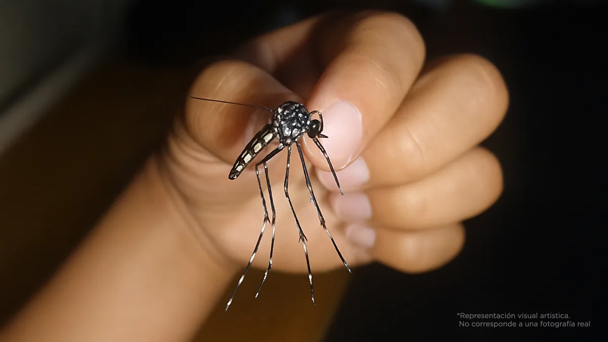 Urgente | El mosquito africano ya llegó a Yucatán